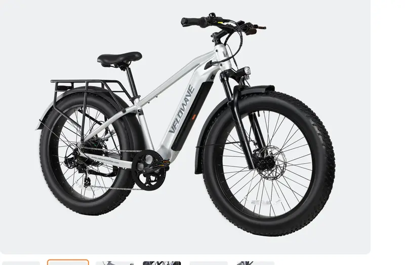 Velowave Ranger 3.0 Torque Electric Fat Tire Bike 1